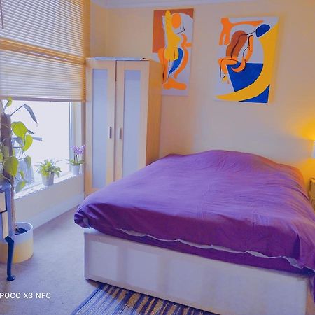 Magnolia House Guest Accommodation فالموث المظهر الخارجي الصورة